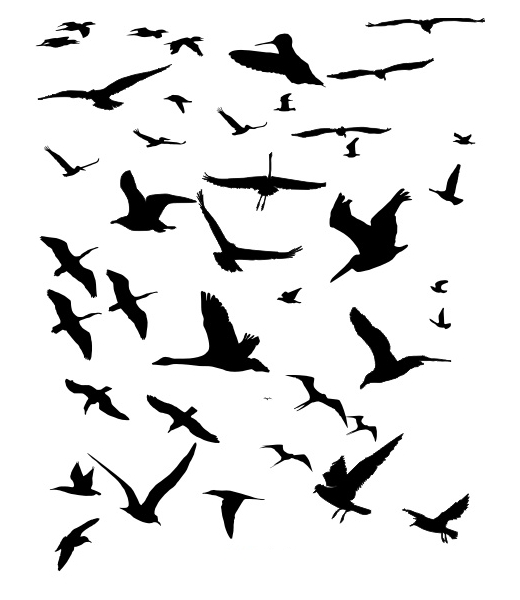 Flying Bird Silhouette