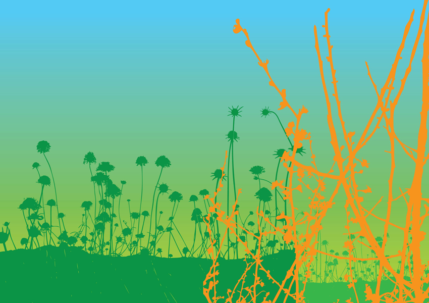 Free Nature Vectors Free Nature Vectors