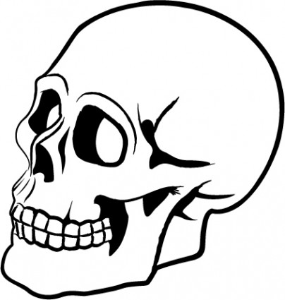 Free Skull Vector