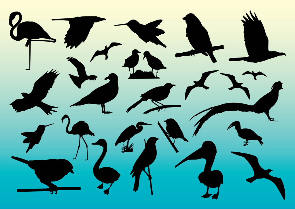 Free Vector Art Silhouette of Bird