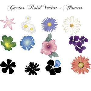 Free Vector Flowers