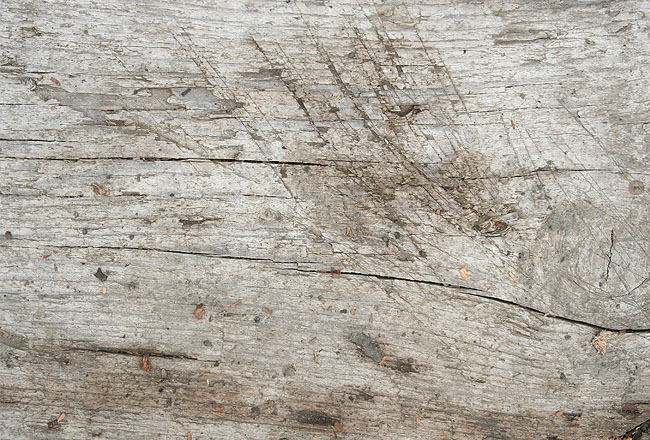 Free Wood Textures for Photoshop Free Wood Textures for Photoshop