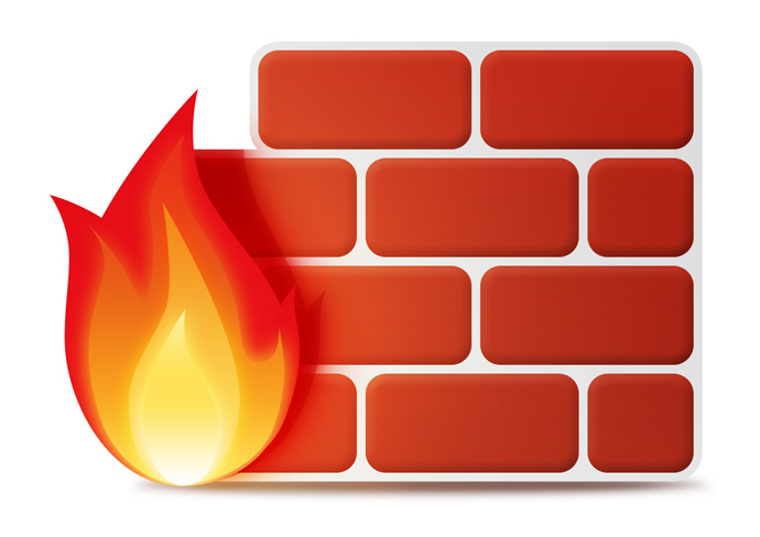 Network Firewall Icon