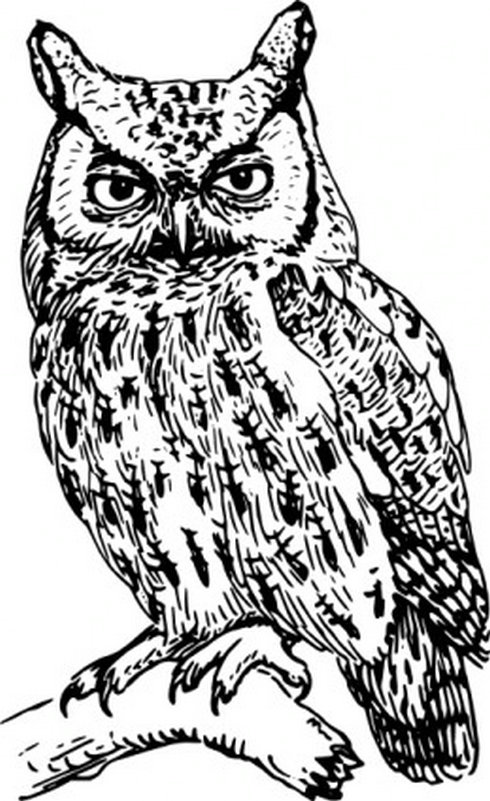 Owl Clip Art Black and White