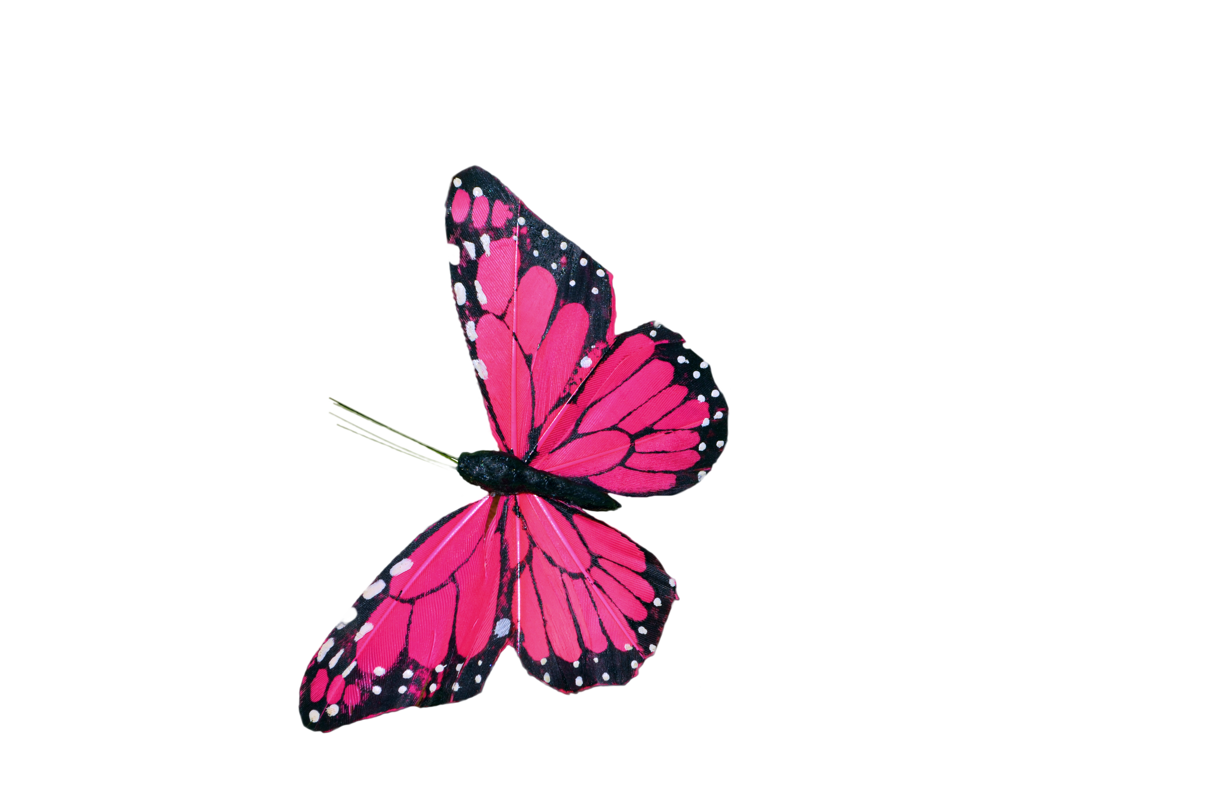 Pink Butterfly Clip Art