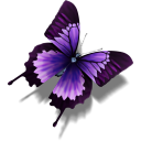 Purple Butterfly Icon Purple Butterfly Icon
