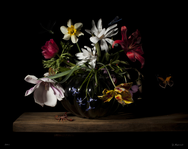 Still Life Photography Flowers