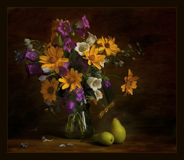 Still Life Photography Flowers