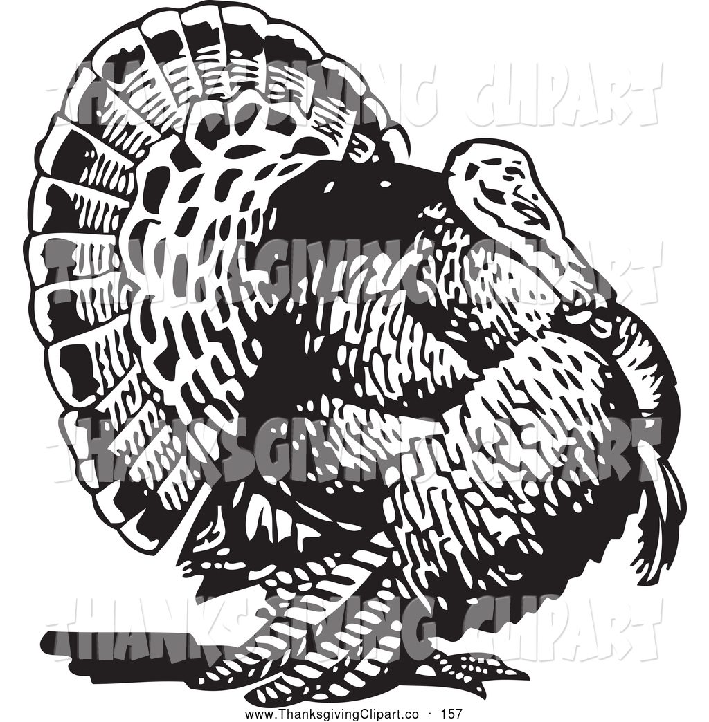 Thanksgiving Turkey Clip Art Black and White