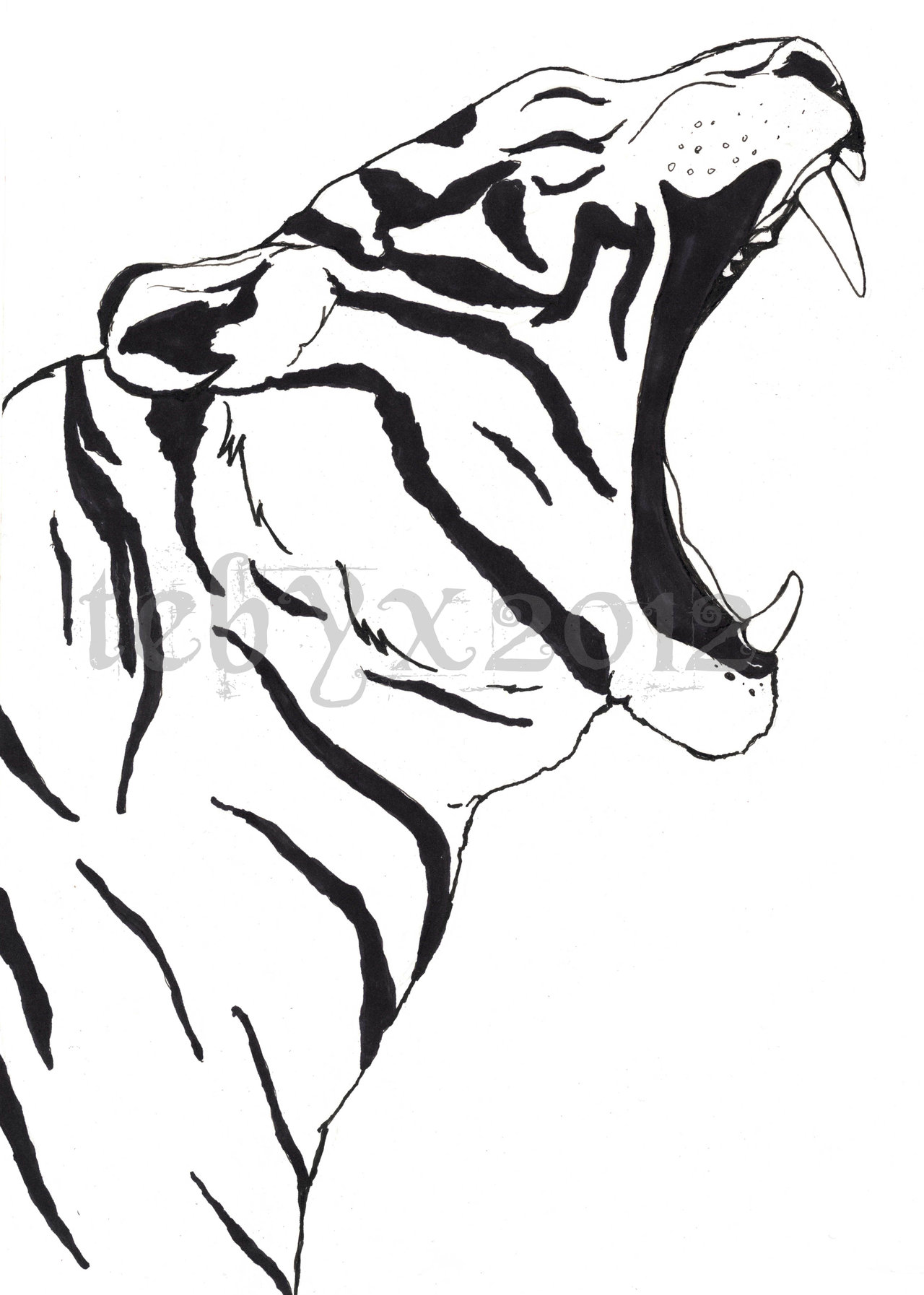 Tiger Line Art Drawings