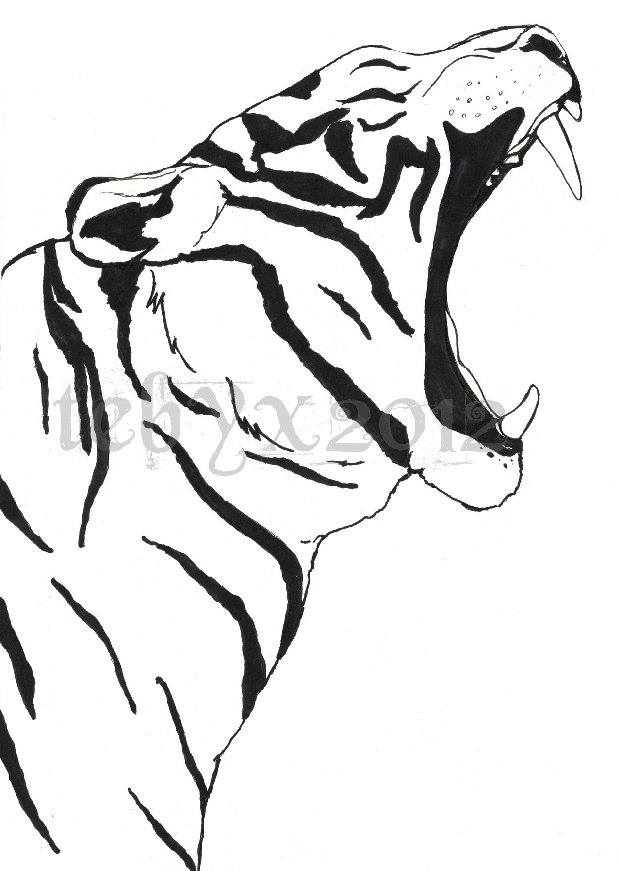 Tiger Line Art Drawings Tiger Line Art Drawings