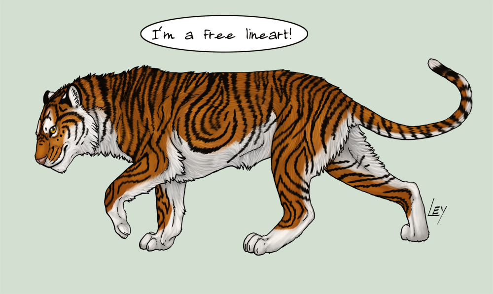 Transparent Tiger Line Art