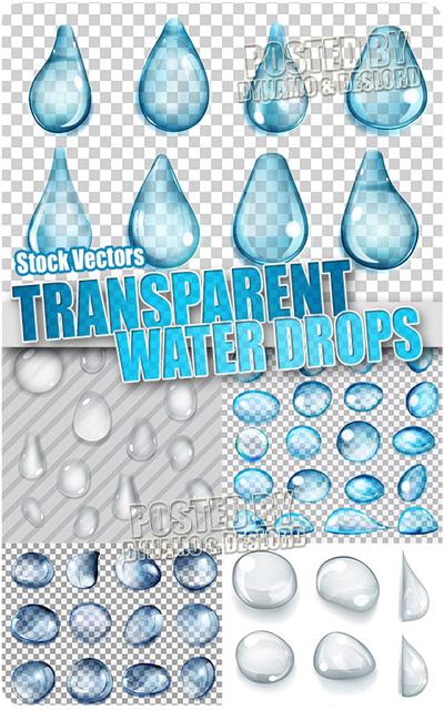 Transparent Water Drop Vector