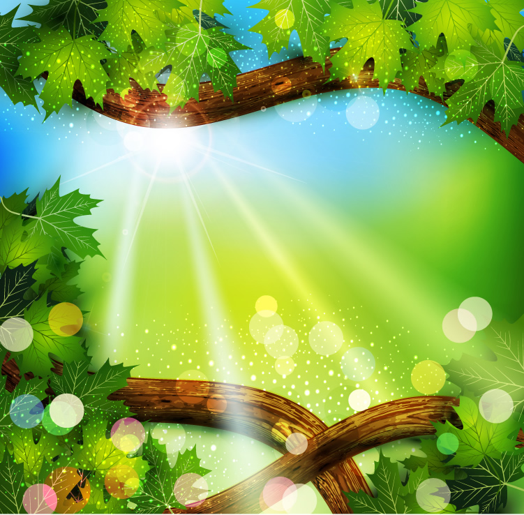 Tree Green Leaves Background Tree Green Leaves Background