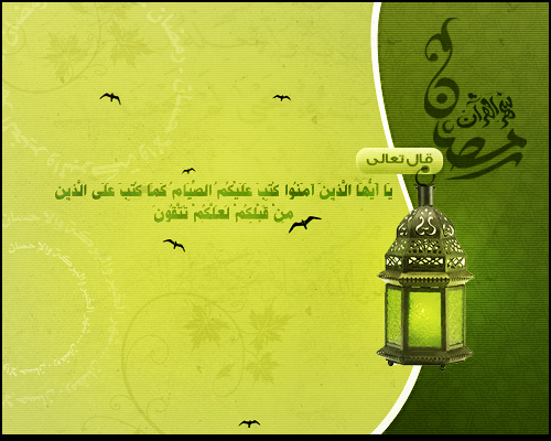 Vector Design PSD Free Download Vector Design PSD Free Download