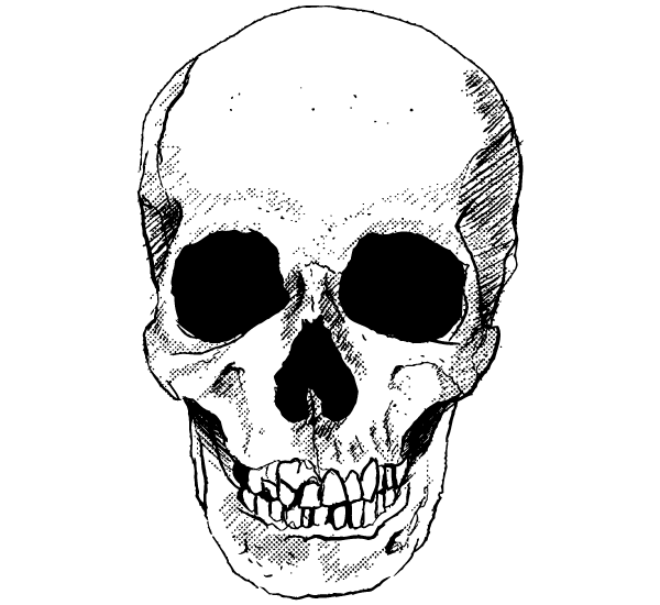 Vector Skull Free Downloads