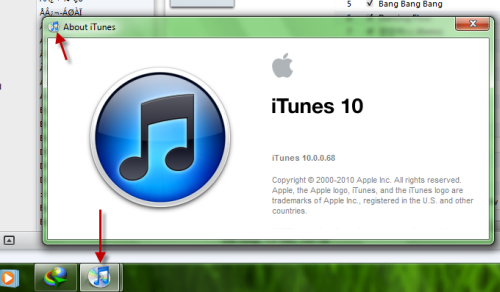 Windows iTunes 10 Icon