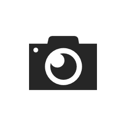 Windows Phone Camera Icon