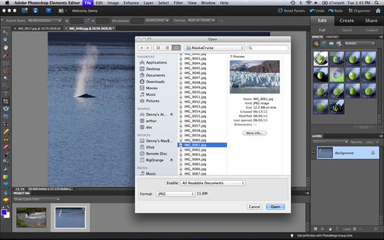 Adobe Photoshop Elements 10 Mac