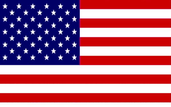 American Flag Vector