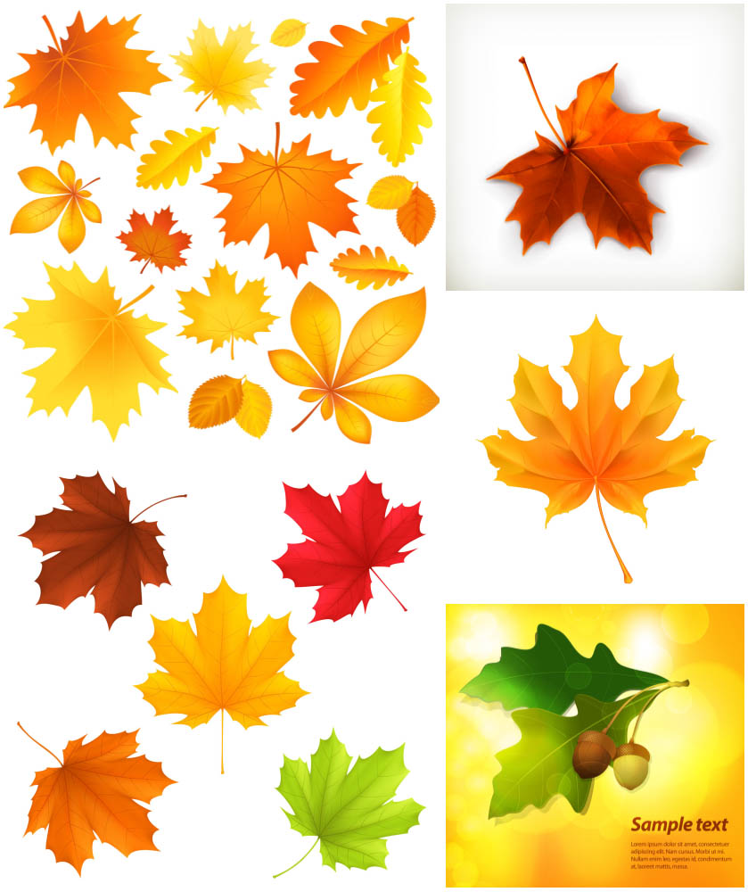 Autumn Leaves Clip Art