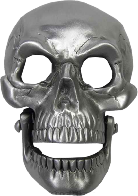 Chrome Skull Mask Halloween