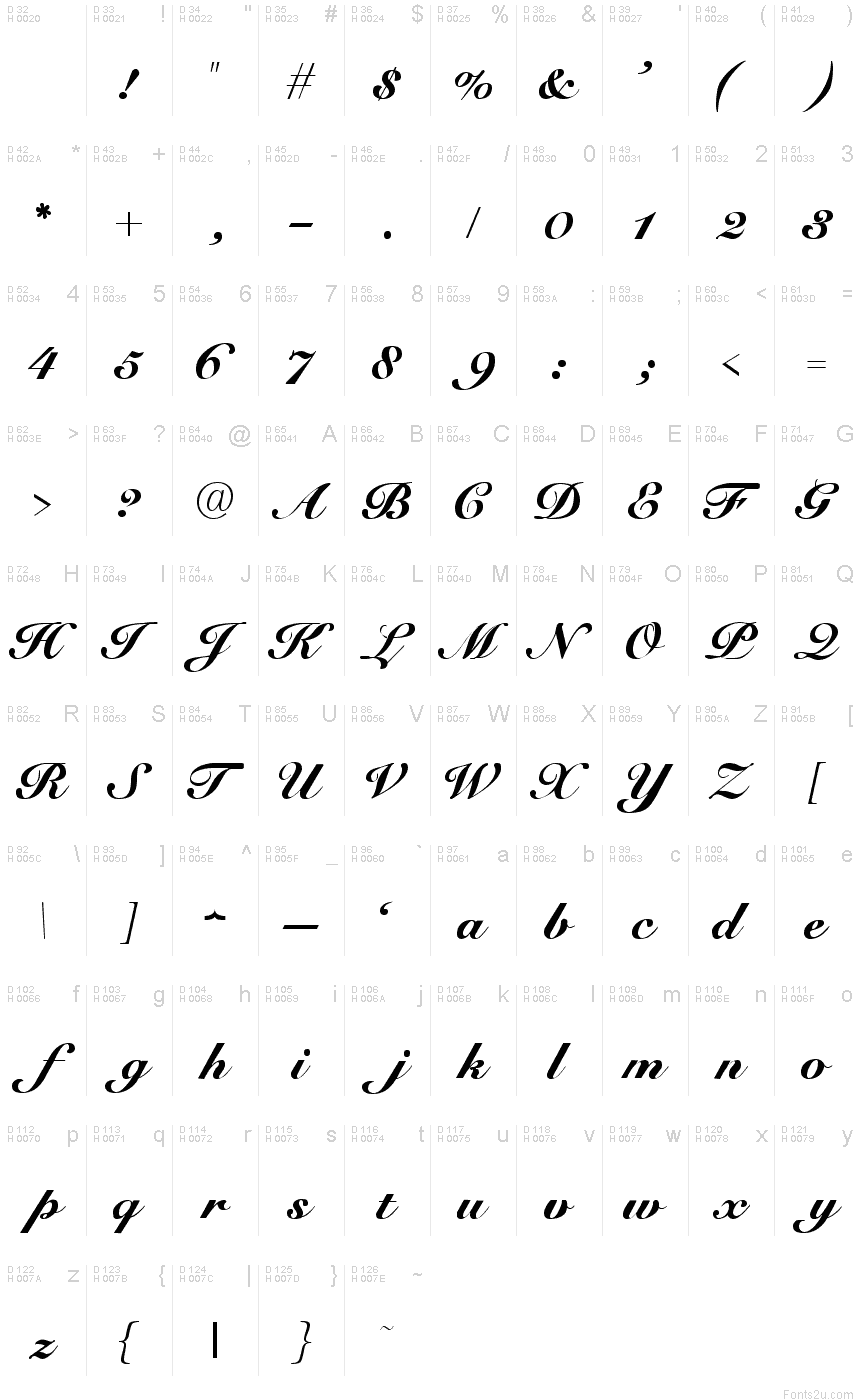 Elegant Script Font Letters