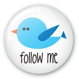 Follow Me On Twitter Button
