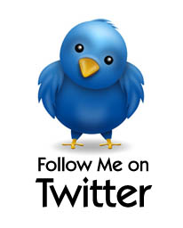 Follow Me On Twitter Button