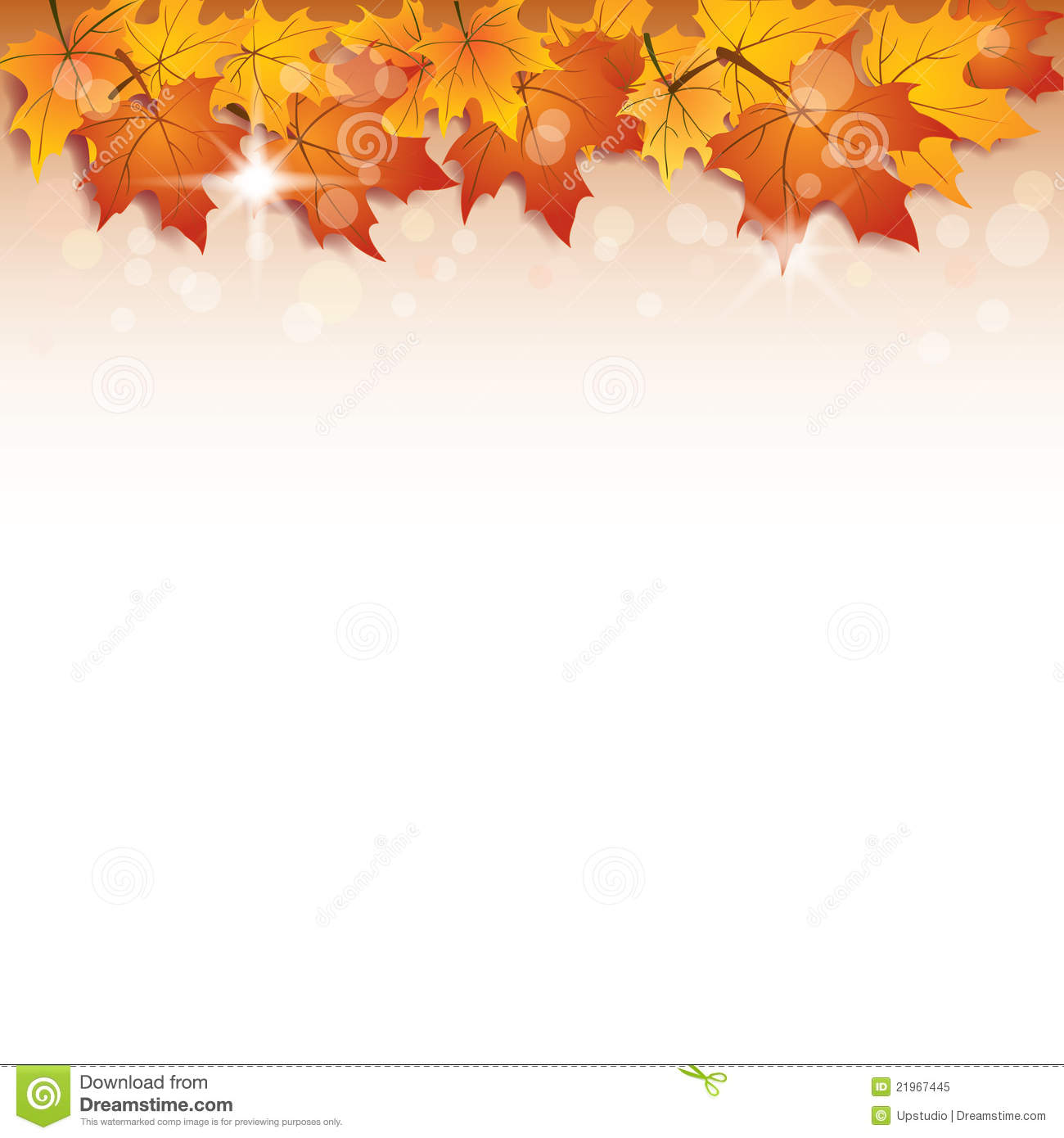 Free Fall Vector