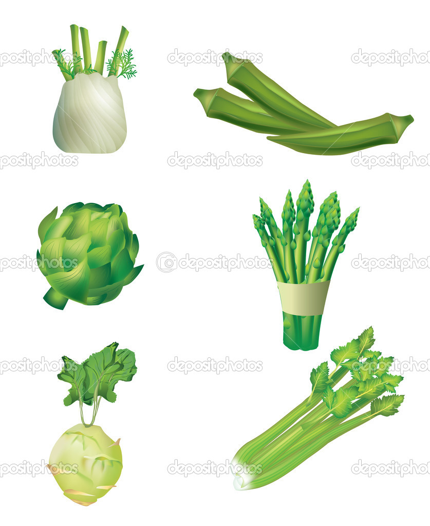 Green Vegetables Illustration