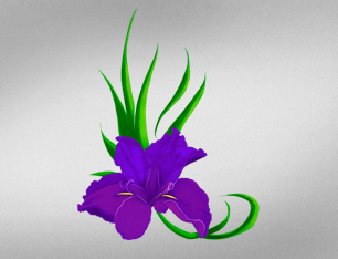 Iris Flower Vector Art