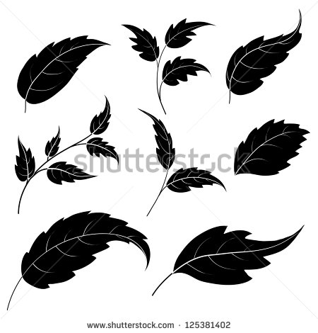 Leaf Silhouette Black and White Flower