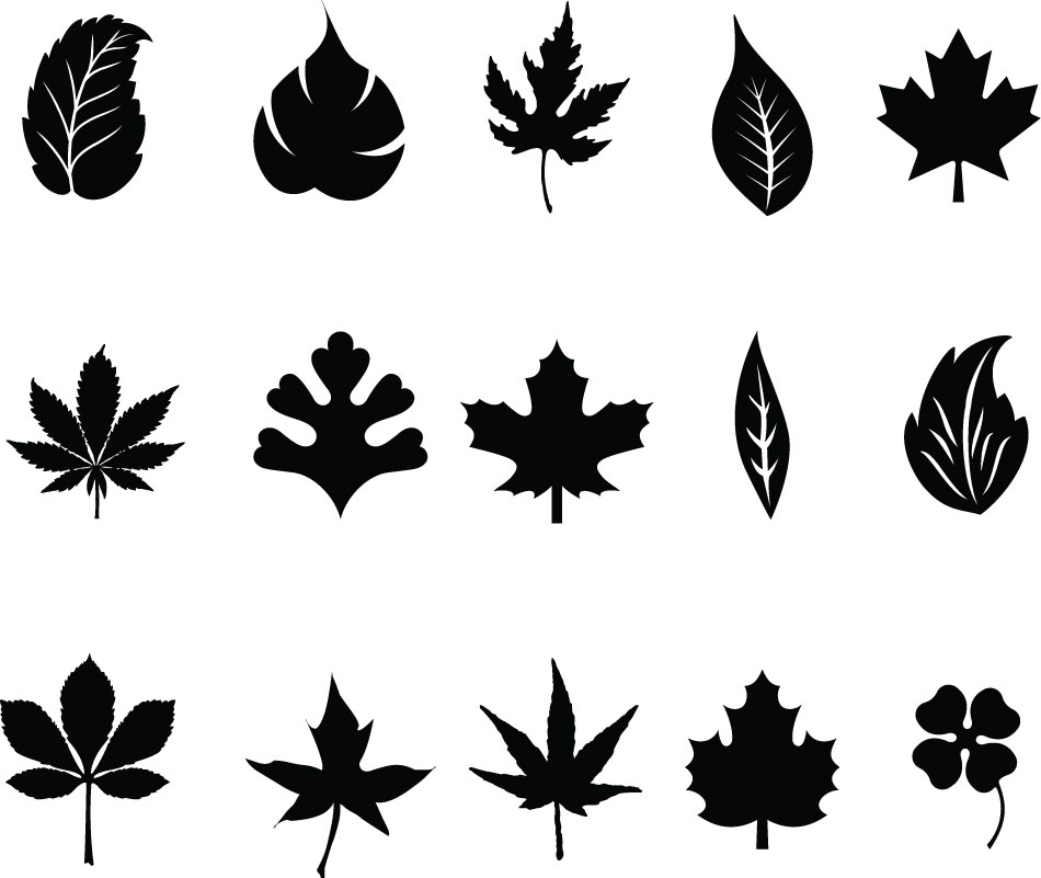 Leaves Silhouette Vector Free