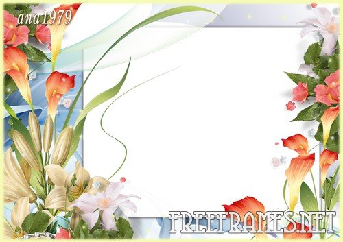 Photoshop Frame Templates Free Downloads