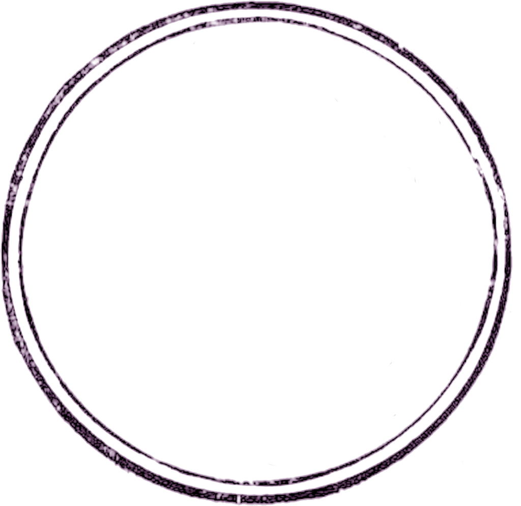 Purple Circle Graphic