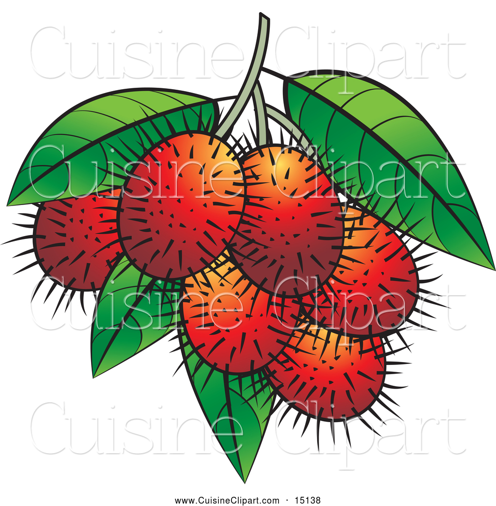 Rambutan Fruit Clip Art
