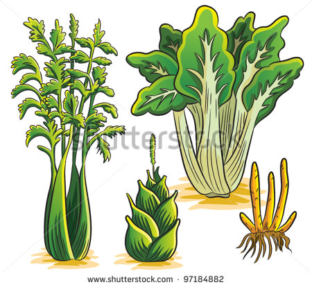 ShutterStock Vector Vegetables