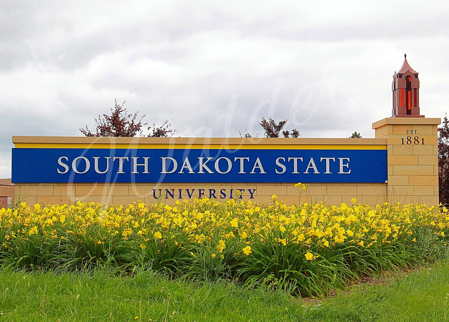 South Dakota State University