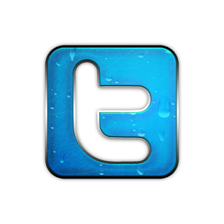 Square Twitter Logo Icon