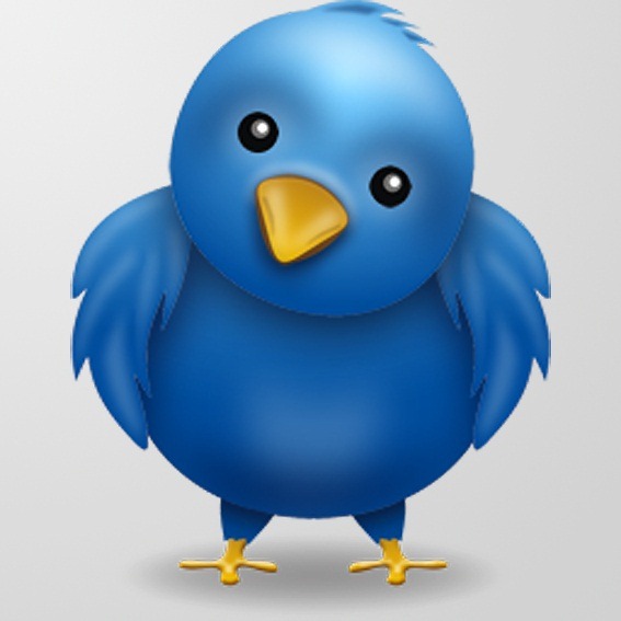 10 Twitter Bird PSD Images