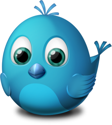 Twitter Bird Logo PSD