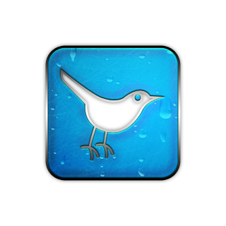 Twitter Bird Logo Square