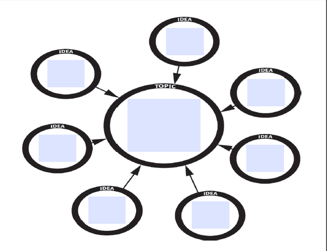 Web Graphic Organizer