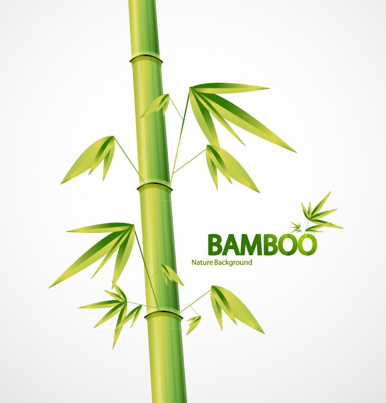 Bamboo Vector Graphics