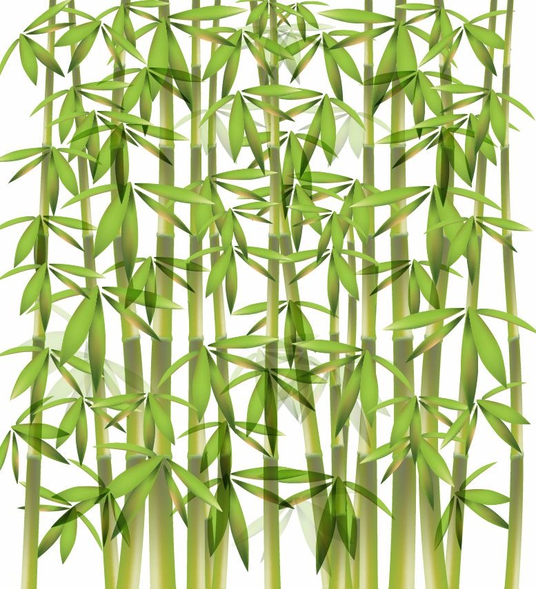 Bamboo Vector