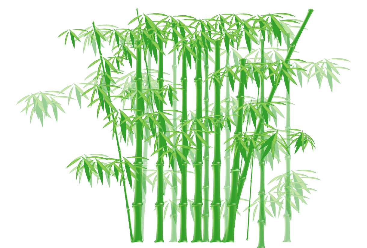 Bamboo Vector
