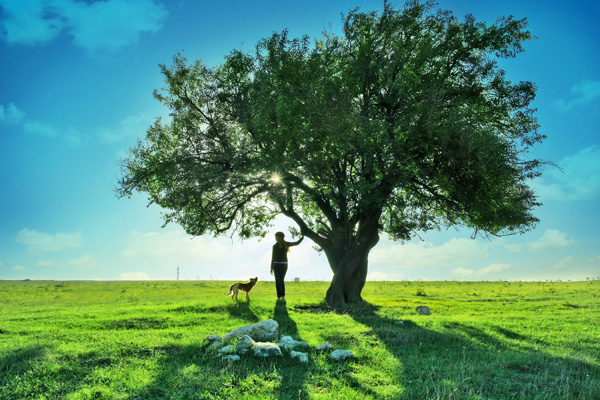 Beautiful Nature Landscape Scenery Beautiful Nature Landscape Scenery