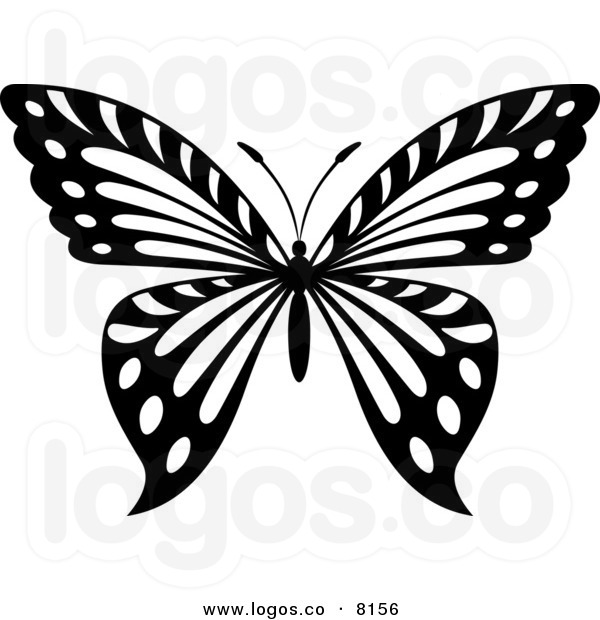 9 Black And White Butterfly Graphics Images