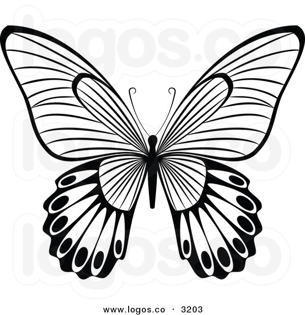 Butterflies Clip Art Black and White